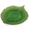 Costa Nova - Riviera Tomate Green Hydrangea Leaf Dish 22cm 1 Costa Nova - Riviera Tomate Green Hydrangea Leaf Dish 22cm -Ecology Shop 440086 Large