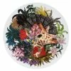 Christian Lacroix - Dofia Jirafa Charger Plate 2 Christian Lacroix - Dofia Jirafa Charger Plate -Ecology Shop 572062 Large